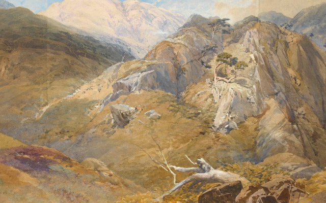 Exhibition and Fairs