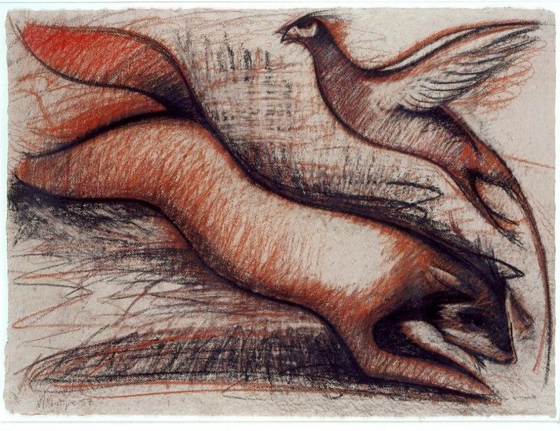 Fox pheasant