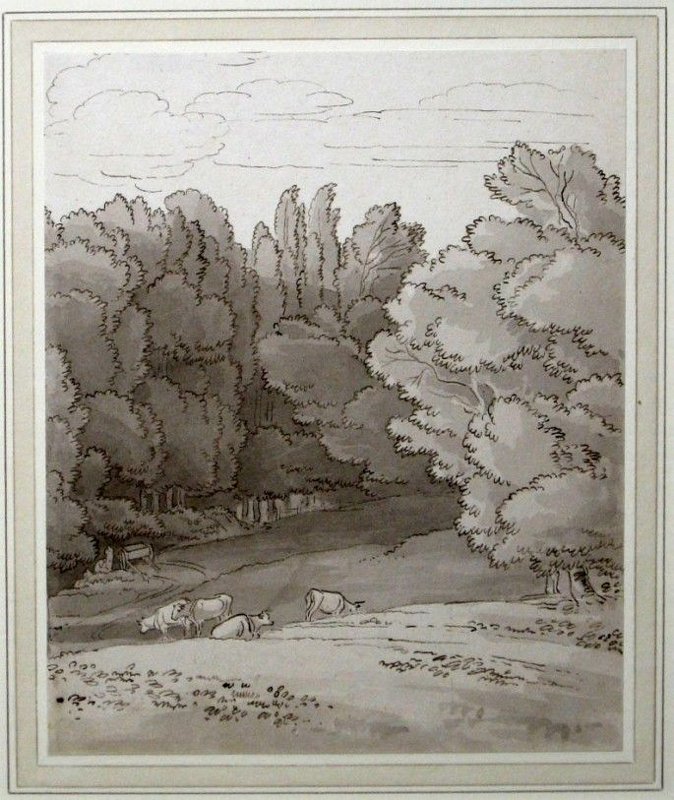 Cattle grazing, Kerswell, Devon